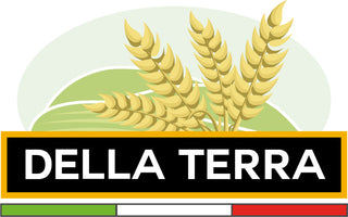Della Terra logo